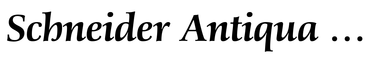 Schneider Antiqua BQ Medium Italic